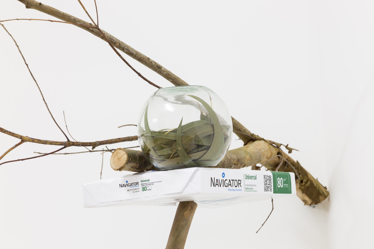 Navigators (2016)
Dimensions Variable.
Ream of A4 Navigator paper, ream of A3 Navigator paper, box for 5 reams of A4
Navigator paper. 3 glass aquariums. Branches and leaves of eucalyptus.
Photo: Bruno Lopes.